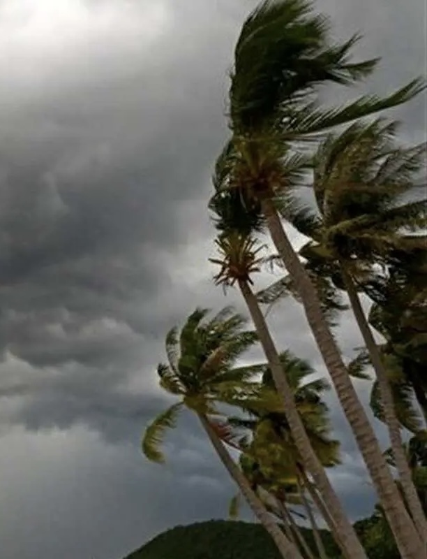 پیشبینی آب و هوای ایران از شنبه ۱۱ بهمن / روند افزایشی دما در اکثر استان‌ها