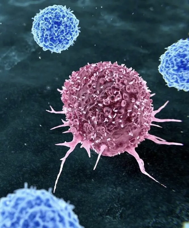 این دو عادت، متهمان ردیف اول ابتلا به سرطان هستند