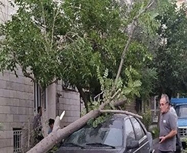سه روز آماده‌باش برای طوفان در تهران / هشدار سازمان مدیریت بحران: در طوفان روز گذشته ۸۳۳ مورد سقوط درخت، ۹۸ مورد آسیب به خودرو،  هشت مورد آسیب به تیر چراغ برق و کابل برق و ۸ مورد آسیب به چراغ راهنمایی گزارش شد / شهروندان از توقف زیر داربست‌ها، درختان فرسوده و دیوارهای ناپایدار خودداری کنند