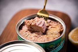 کم‌خطرترین گزینه در میان کنسروهای ماهی؛ گزارشی از یک آزمایشگاه معتبر/ ماهی‌های بزرگ‌تر، خطرناک‌تر!