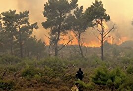 ادعای مهار آتش در جنگل‌های الیت اشتباه بود/ درخواست بالگرد دادیم گفتند بزرگ‌نمایی می‌کنید!