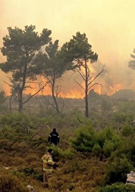 حریق در جنگل‌های الیت چالوس؛ نماینده نوشهر: آتش‌سوزی در ابتدا مثل لکه، کوچک بود؛ گفتند با جوامع محلی جمع‌ و جور می‌شود/ هواپیمای ترکیه در محل حریق حضور دارد، هواپیمای روسیه هم امروز می‌آید/ هلال احمر: مصدومیت ۵ نفر در این حادثه/ معاون وزیر کشاورزی: ۸ هکتار درگیر آتش‌سوزی شده