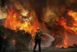 محیط‌زیست درباره جنگل‌های الیت: هنوز درگیر آتش هستیم/ میزان خسارت درختان سوخته، حدود ۲۰ درصد است/ وسعت حریق بین ۱۵۰ تا ۱۸۰ هکتار برآورد می‌شود/ نوع آتش در این حادثه عمدتاً زیرزمینی بود، به همین دلیل گمراه‌کننده بود