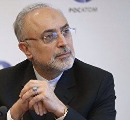 پیشنهاد کلیدی برای مذاکره ایران و آمریکا: تغییر «عنوان» مذاکره به «ایران نباید سلاح هسته‌ای داشته باشد» / با این تغییر عنوان، هر دو طرف با حفظ آبرو می‌توانند به مذاکره بازگردند/ راه‌حل‌های فنی قابل قبول برای هر دو طرف وجود دارد/ به نظر می‌رسد آمریکا به دنبال صلح جدی در اوکراین است تا روسیه را از چین جدا کند/ ونزوئلا می‌تواند به پاشنه آشیل آمریکا تبدیل شود