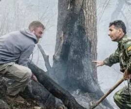 دستگیری عامل آتش‌سوزی جنگل‌های هیرکانی در بابل